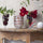 ciotola