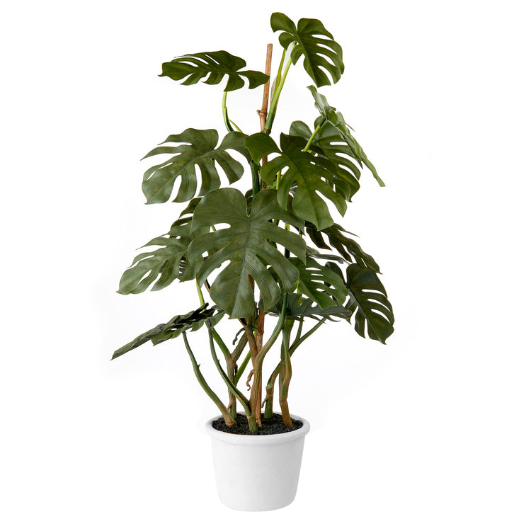 pianta artificiale