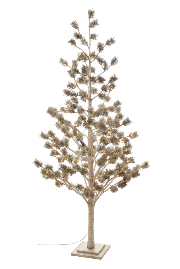albero