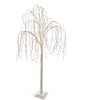 albero piccolo