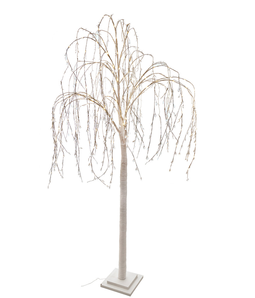 albero piccolo