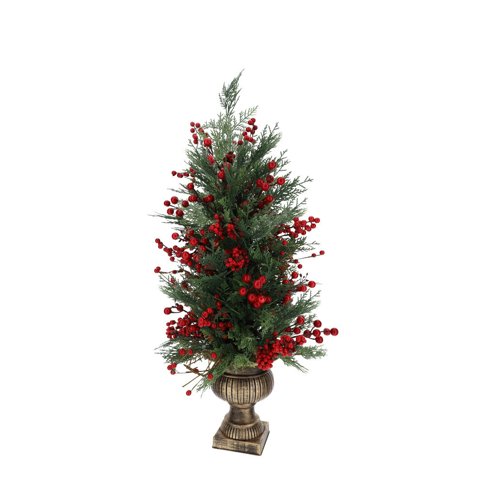 albero