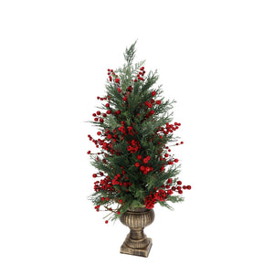 albero