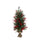 albero