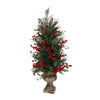 albero