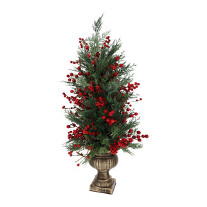 albero