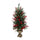 albero
