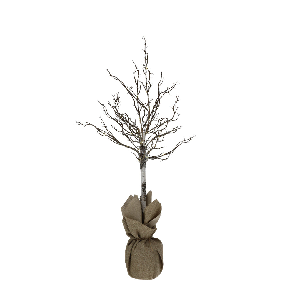 albero