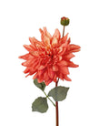 fiori