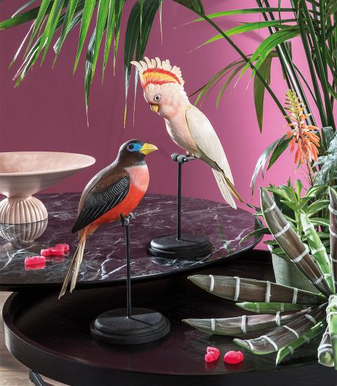 uccello decorativo