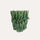 vaso