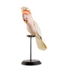 uccello decorativo