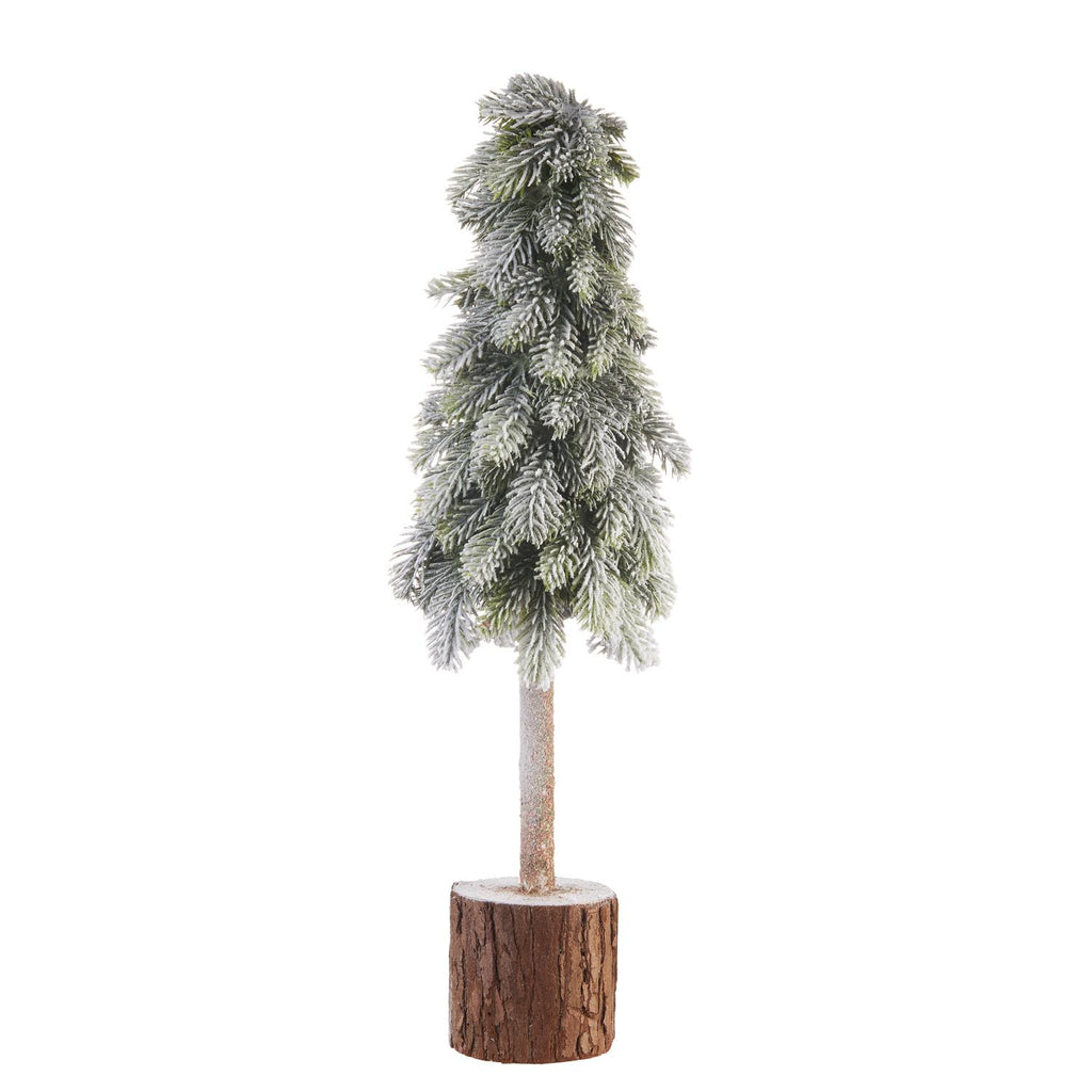 albero piccolo