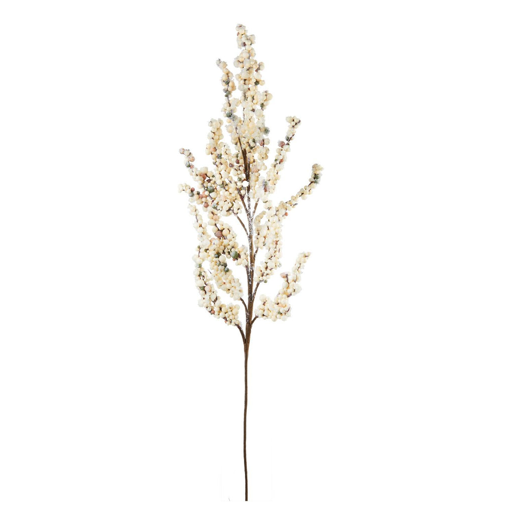 fiori