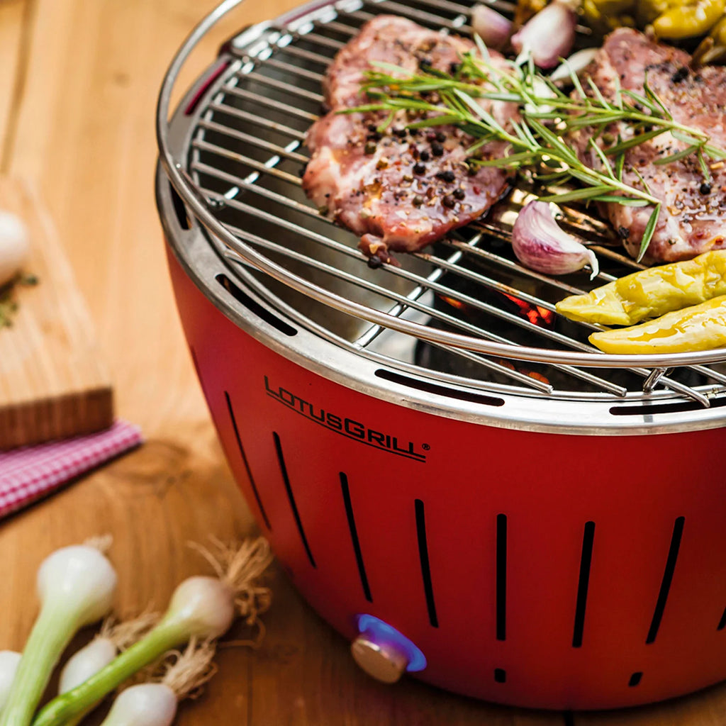 grill portatile l