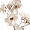 fiore