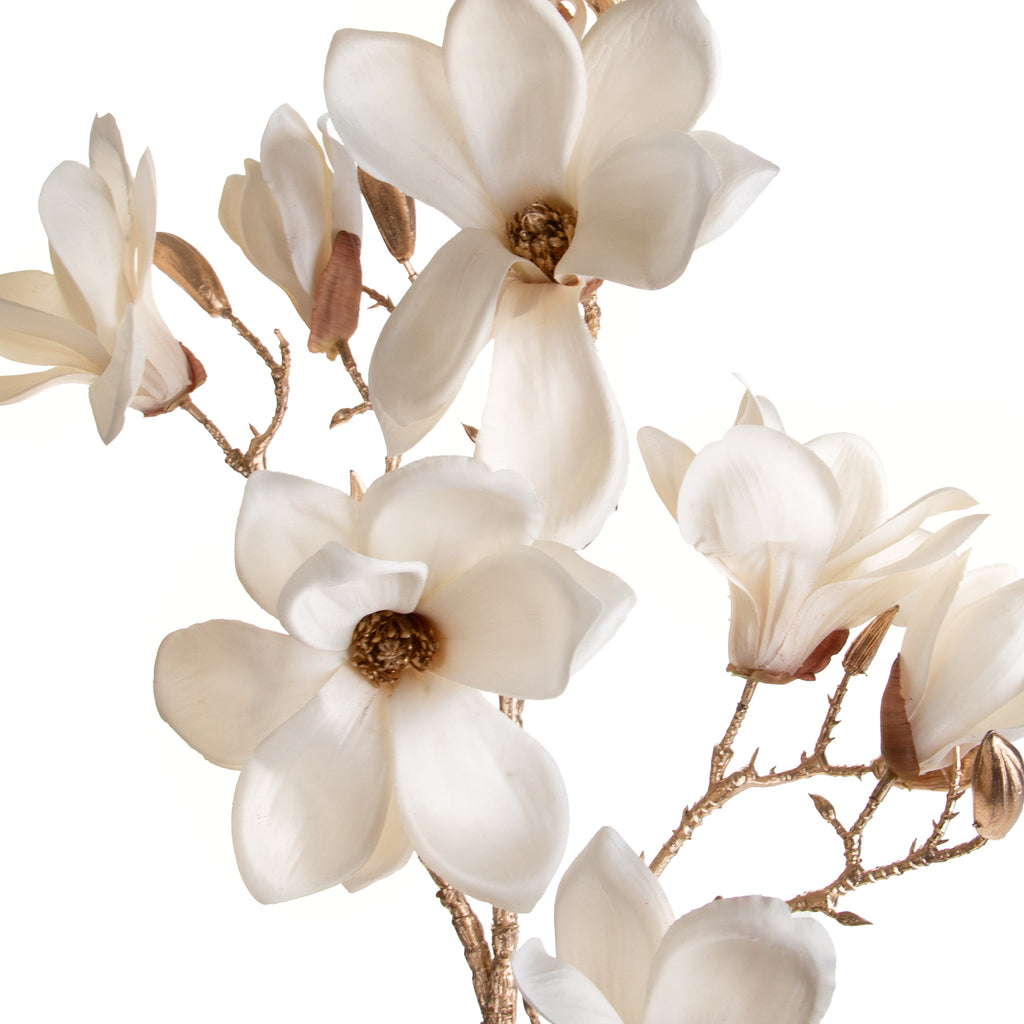 fiore