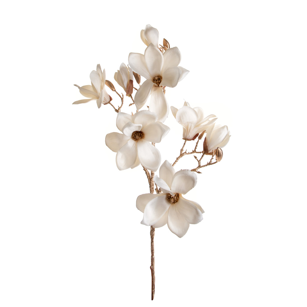 fiore