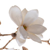 fiore