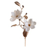 fiore