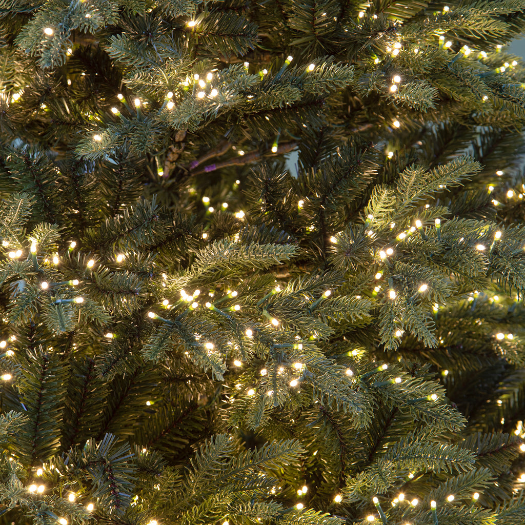 albero di natale