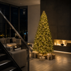 albero di natale