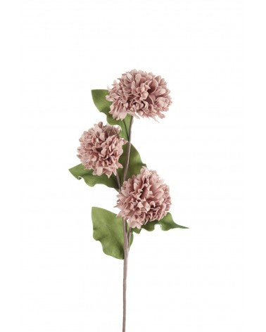 fiore